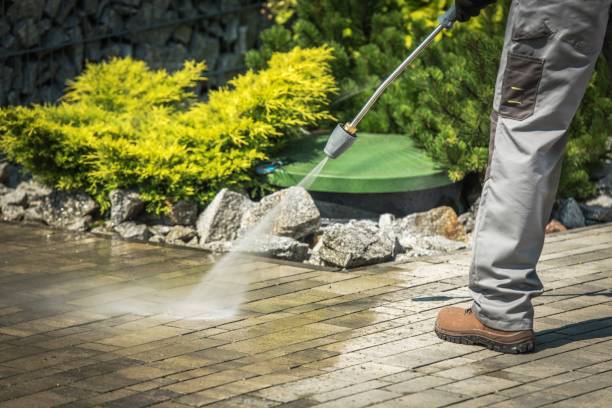 Pre-Holiday Cleaning in Williamsville, NY
