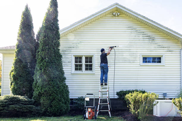 Professional Pressure Washing Services in Williamsville, NY